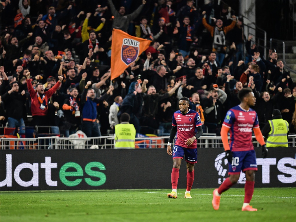 这是他们 这是他们